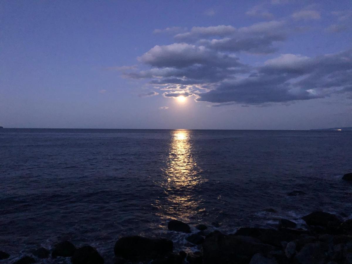 Izu Hokkawa Seaside Guesthouse 伊豆北川の家 히가시이즈 외부 사진